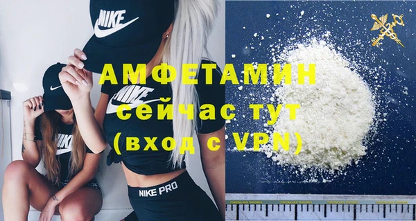 сатива Аркадак