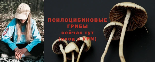 сатива Аркадак
