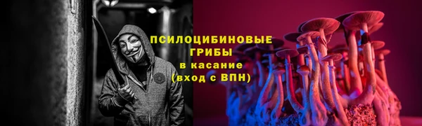 сатива Аркадак