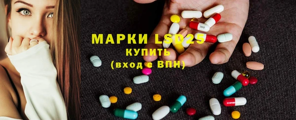 сатива Аркадак