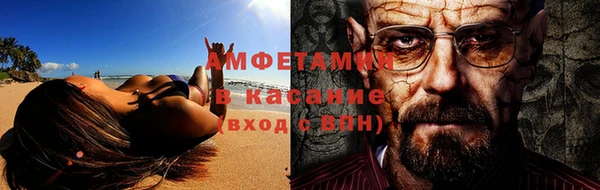 сатива Аркадак