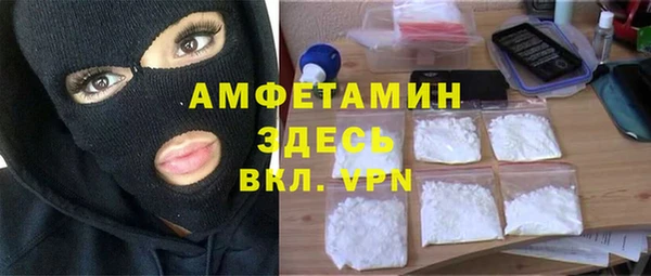 сатива Аркадак