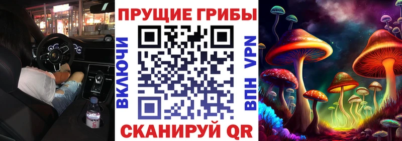 Галлюциногенные грибы ЛСД  Краснослободск 